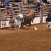 Bull Riding at the Cedar Park Rodeo