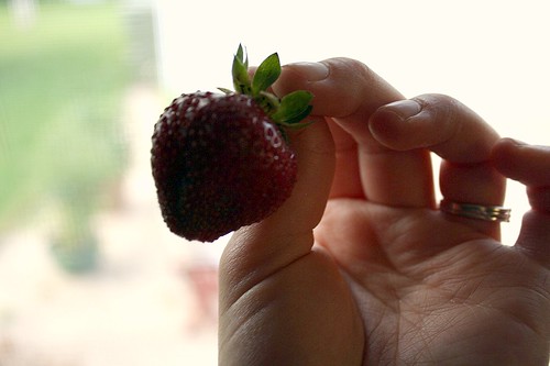 strawberry from garden