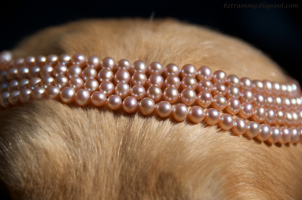 Pearls and Fur