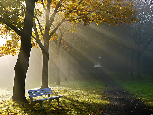 The lonesome bench by RainerSchuetz