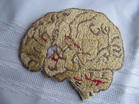 a thread sketched brain