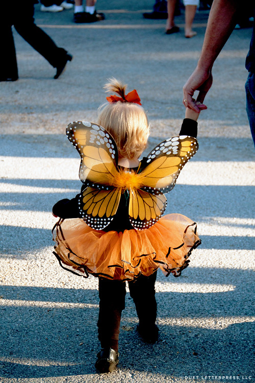 halloween / monarch butterfly