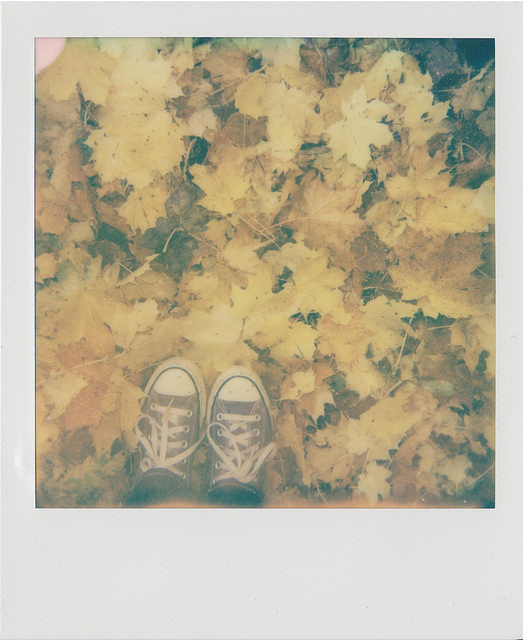 Autumn I.