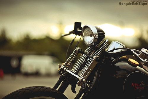 Harley-Davidson Springer Softail by Gonçalo Reis Bispo