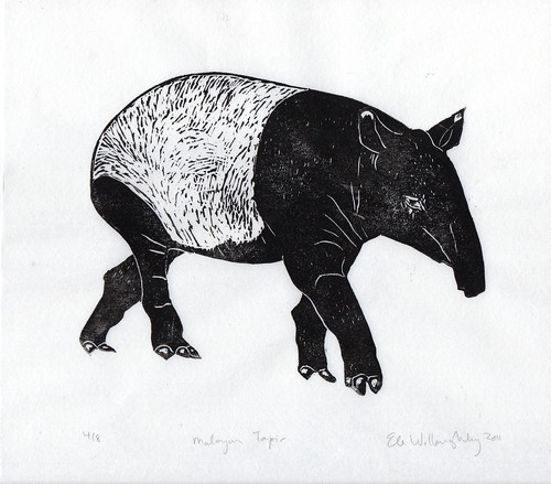 tapir513