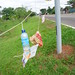 BRASILIA LAGO NORTE LIXOCULTURAL 3NOV2011 044