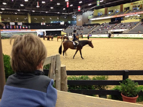 2011 Alltech National Horse Show - Lexington, Ky.