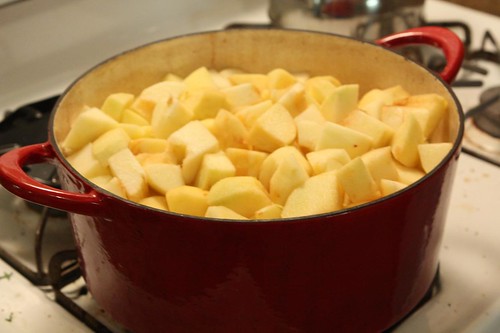 Apple Sauce in the Making