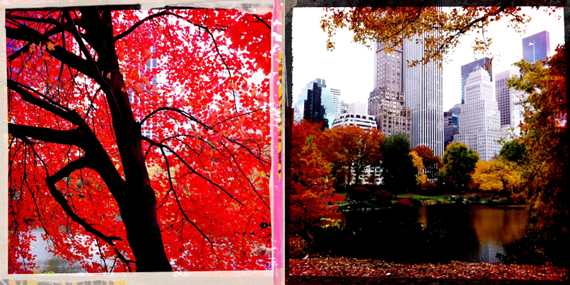 autumn in new york 5