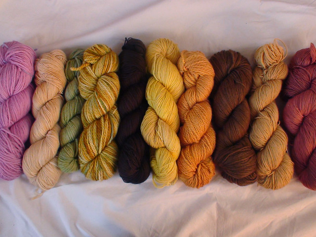Autumn Colours - Now in the Shop
