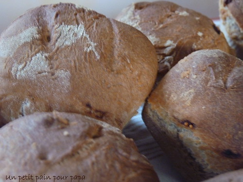 pains à la farine de châtaigne et aux figues