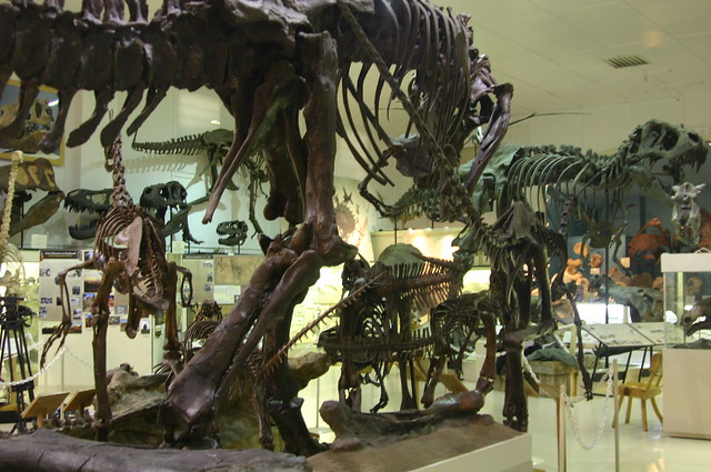 Dino Showroom