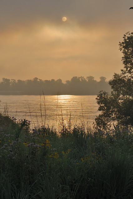 Cliff Cave County Park, in Mehlville, Missouri, USA - sunrise over the Mississippi River, in fog