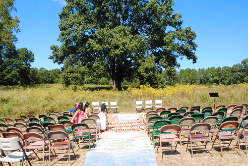 The big oak tree the Jubilee wedding tree stood as the focal point of