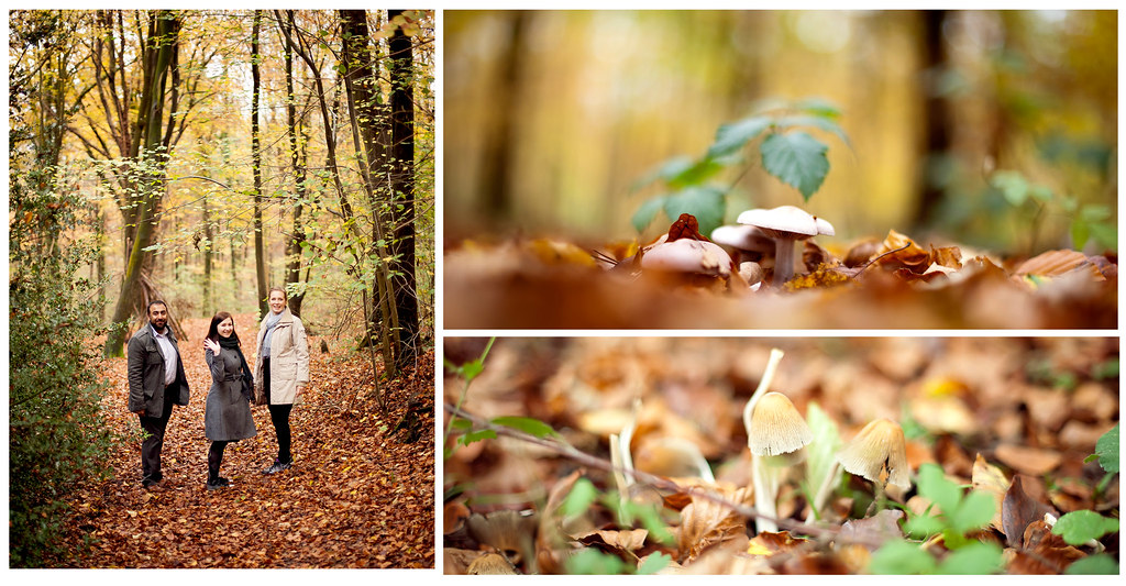 Our WALK AROUND MAGIC and mushrooms Land !! O.o :) November 2011