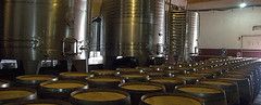 Salta: Se constituye un Consorcio de Exportación de vinos