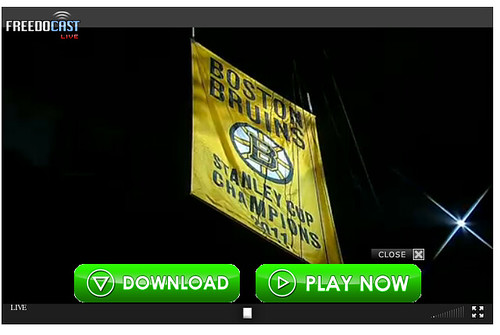 Boston Bruins banner raising screenshot, 10/6/2011 by mod as hell