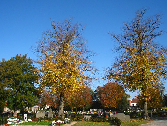 stadsbegraafplaats Leuven