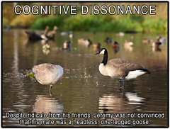 Cognitive Dissonance