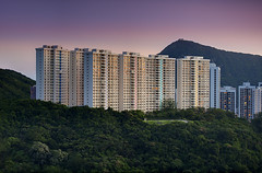 Somewhere near the Braemar Hill, Hong Kong Island