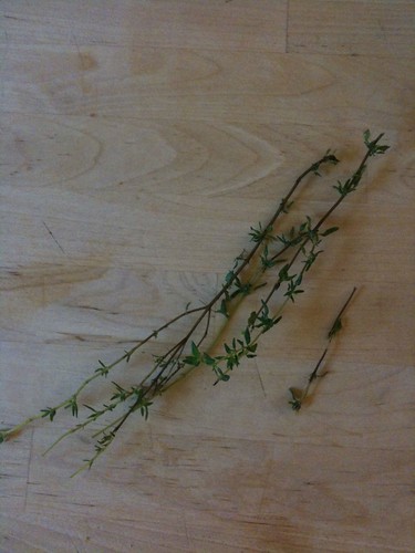 Thyme from the garden