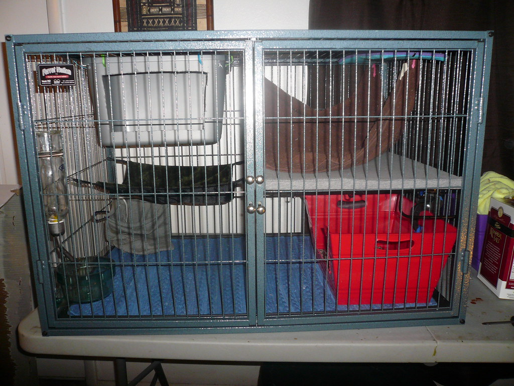 New improved travel cage! The Holistic Ferret Forum