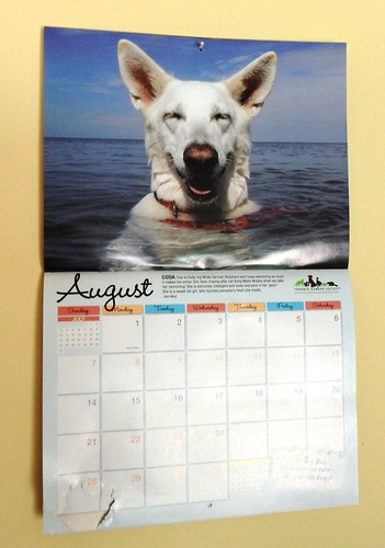 Aug. 19-calendar