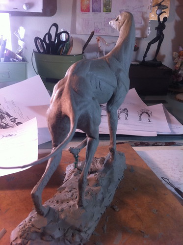 Greyhound - tail anatomy