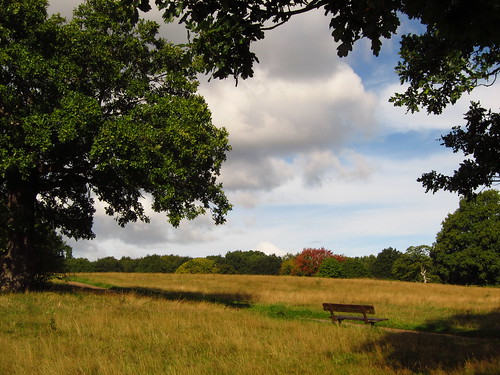 Tumulus Field, Hampstead Heath