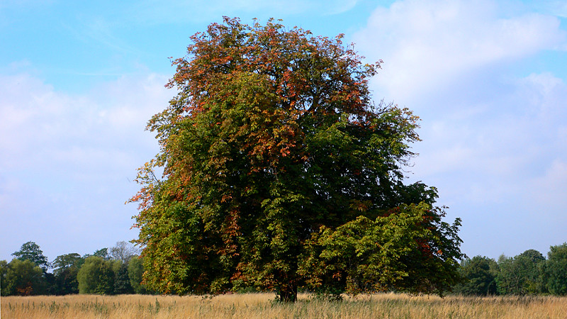 Visible Signs of Autumn