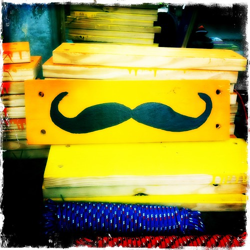 Moustache (246/365) by elawgrrl