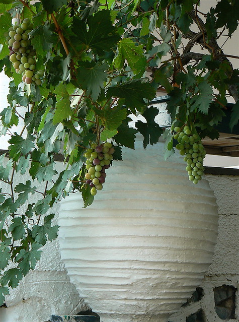Urn and Vines