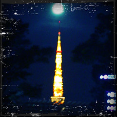 東京タワーと名月