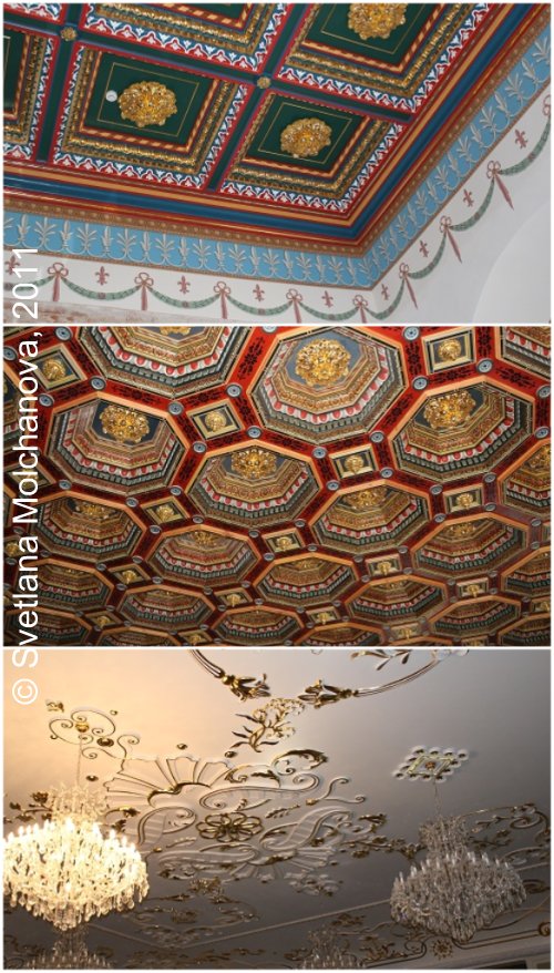 Types of Castle's ceilings