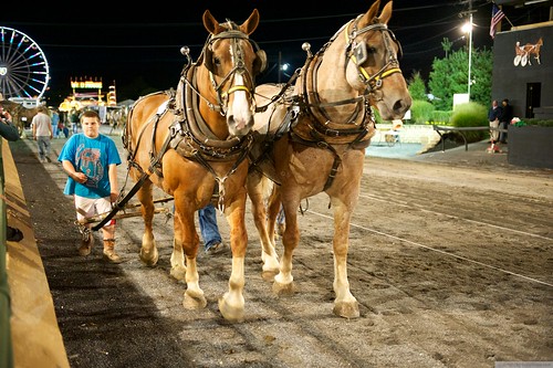 RCS_4294 - The Great Frederick Fair - Horse Pull by CraigShipp.com Photos - Events / People / Places