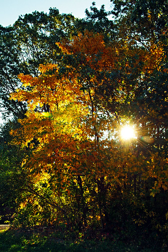 Terree_Yeagle_Fall_Color007