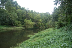 Green Reedy River