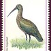 kenya-bird-100sh-550h
