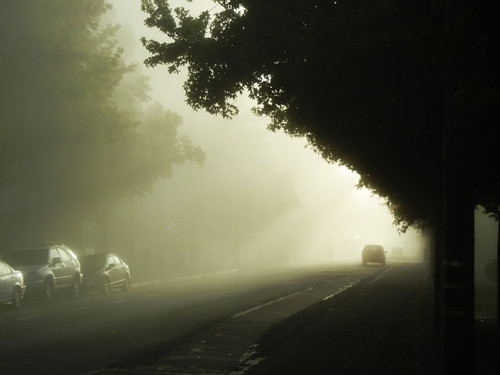 Morning Fog 4729 _ Mod _ 500