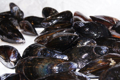 PreCooked Mussels