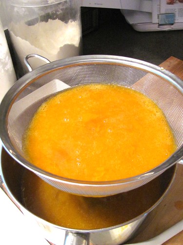Cooking Light's Sparkling Apricot Sorbet