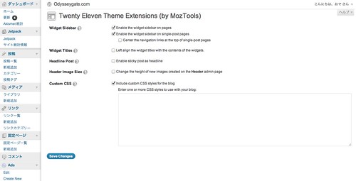 Twenty Eleven Theme Extensions 設定画面