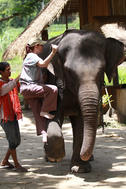 ¡TAILANDIA EN CHANCLETAS! - Blogs de Tailandia - Patara Elephant Farm (23)