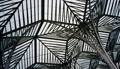 Calatrava's Jungle