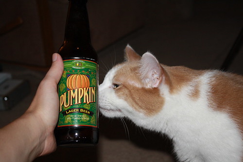 Karma and pumpkin beer