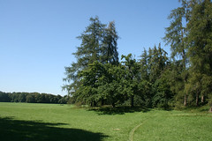Schloßpark Nymphenburg - Nördlicher Teil