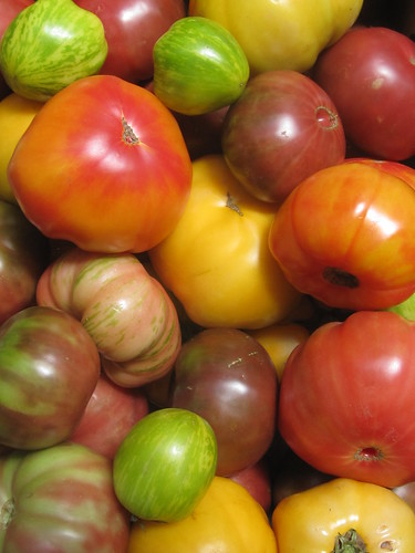 Colorful Organic Tomatoes