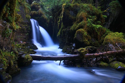 フリー写真素材|自然・風景|滝|森林|