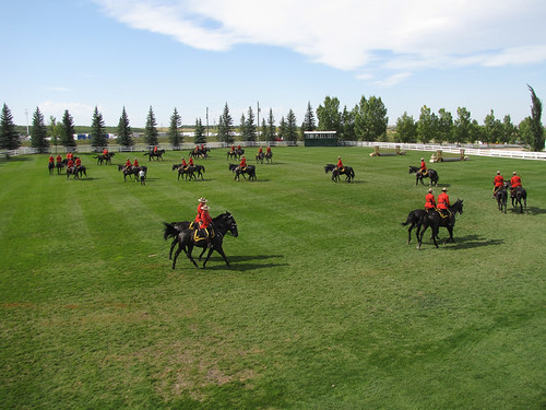 RCMP Musical Ride warm-up