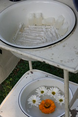 Wash stand - bubbles, flowers & programs